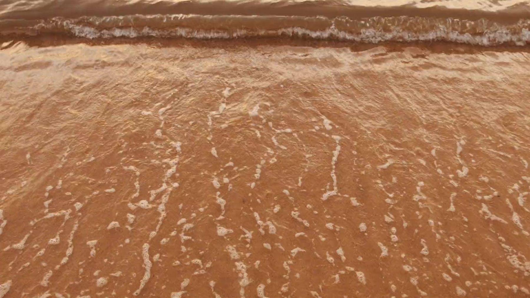 La orilla de la playa de Cariló con la espuma sobre la arena
